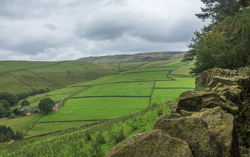 Kinder Low Kinder Low